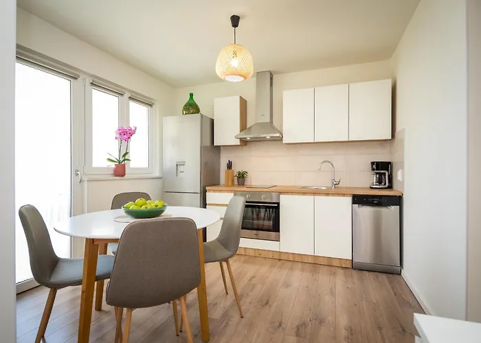 Cozy & Kali 로비니